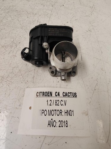 9801942080 corpo farfallato