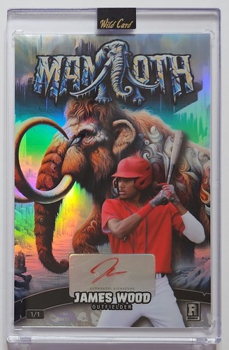 2024 wild card - wild, holo