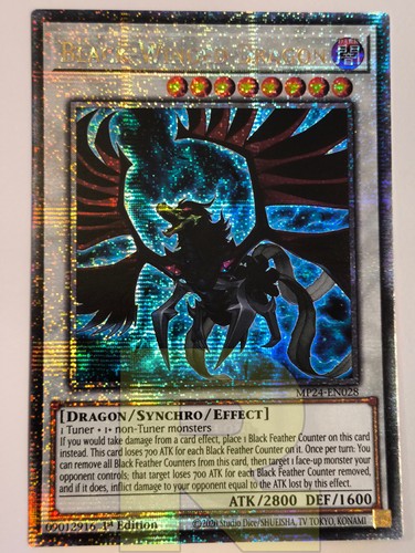 Drago ali nere black winged - drago, /