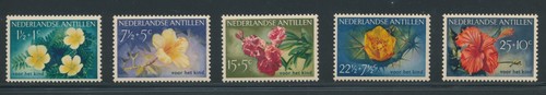 1955 antille olandesi - 1955,