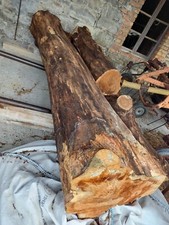 tronco di noce nazionale di