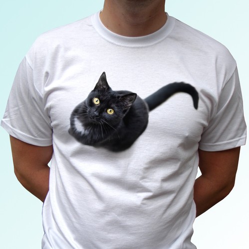 Shirt bianca gatto - bianca,