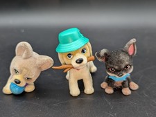 Disney Junior Lagotto Roma