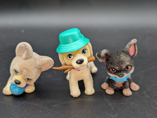Disney junior lagotto - disney, roma