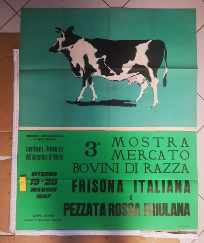 Manifesto viterbo mostra - manifesto, 3