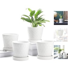 Thick Foam-Packaged 5-Inch