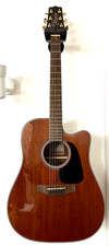 TAKAMINE GSD11MCE NG + FENDER