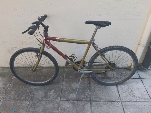 Mountain bike - mountain,