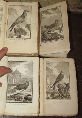 1770 histoire naturelle des - histoire,