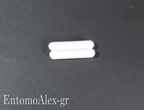Ancoretta magnetica ptfe - magnetica,