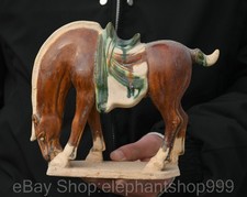 Statua cavallo palazzo