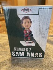 Sam Anas #7 Iowa Wild 2013