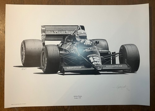 Stampa artistica ayrton - stampa,