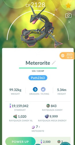 Pokemon rayquaza lucido con - pokemon,