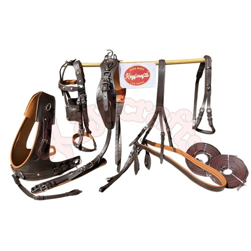 Set completo imbracatura guida