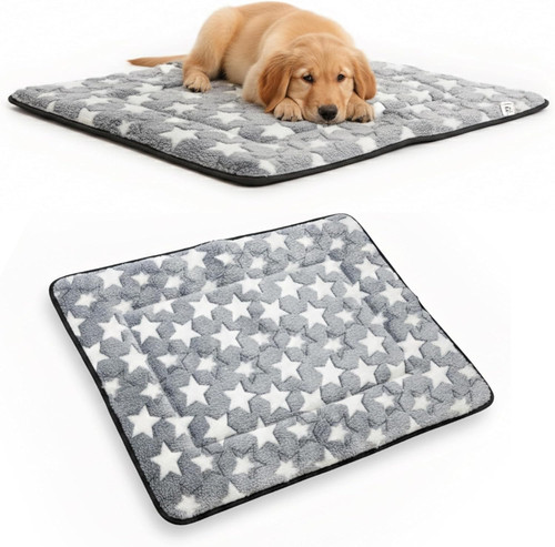 Cuccia cane interno due - due, facce