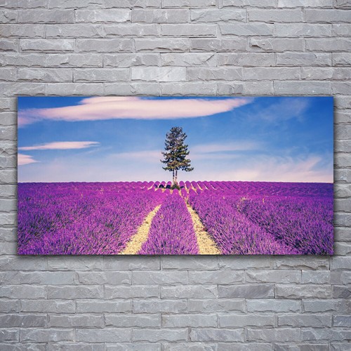 Stampa tela 120x60 - tela,