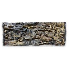 🐠 Parete posteriore