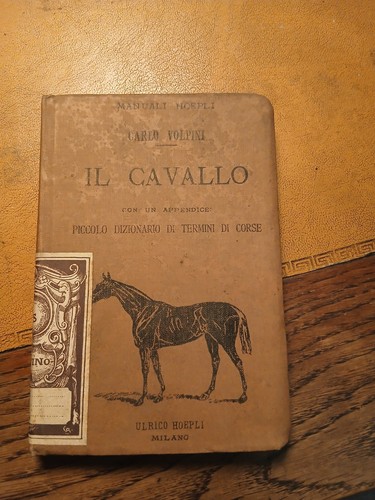Volpini cavallo prima - volpini,, cavallo.