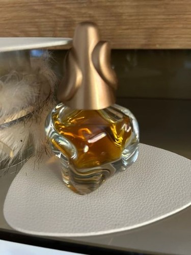Sonja bogner parfum - bogner, ml
