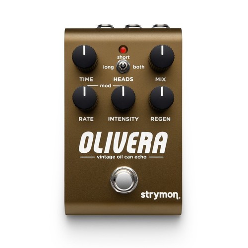 Strymon olivera - strymon,