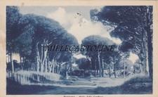 FREGENE: Viale delle Conifere