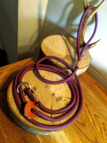Guinzaglio scivolo cane