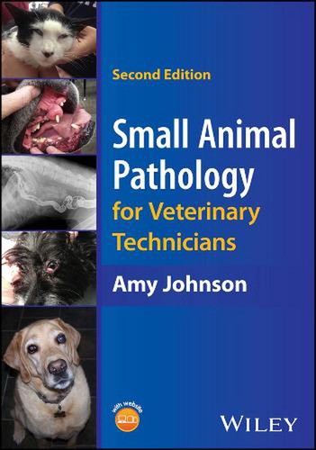 Small animal pathology for - animal,