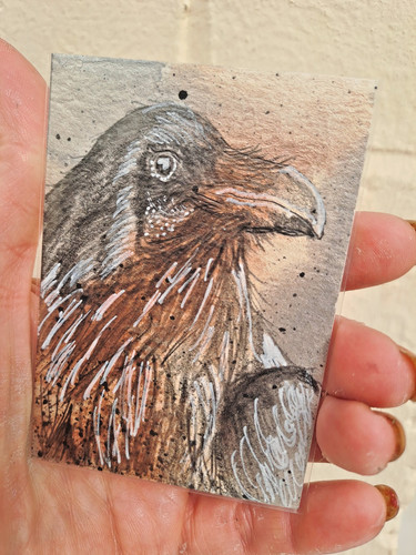 Aceo originale non una - aceo, originale,