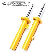 2 Ammortizzatori Sportivi