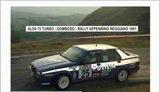 1/43 Alfa Romeo 75 Turbo Rally
