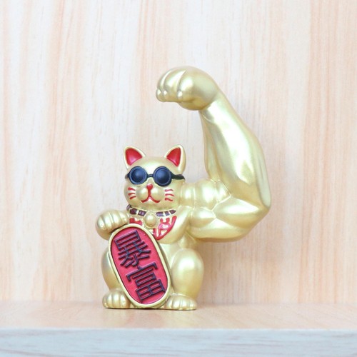 Braccio gatto fortunato buona - braccio,