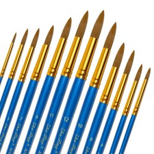 12 Pezzi Pennelli per