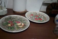 coppia piatti da appendere in