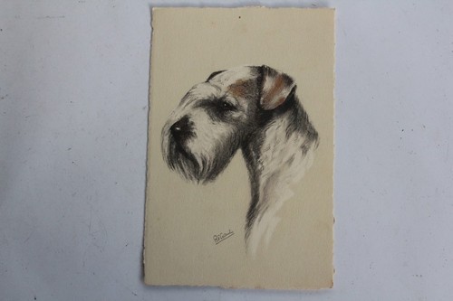 Cpa illustrée gauli - illustrée, chien