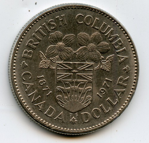 Moneta anniversario dollaro
