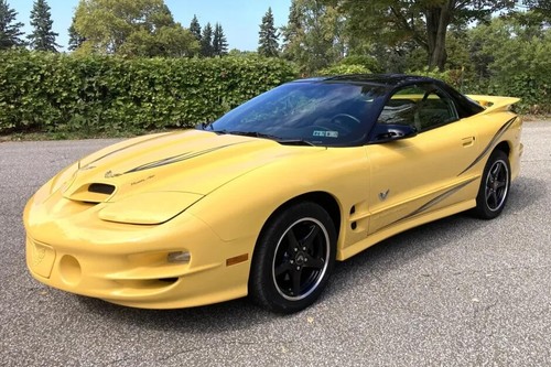 Pontiac firebird trans - am, ws6