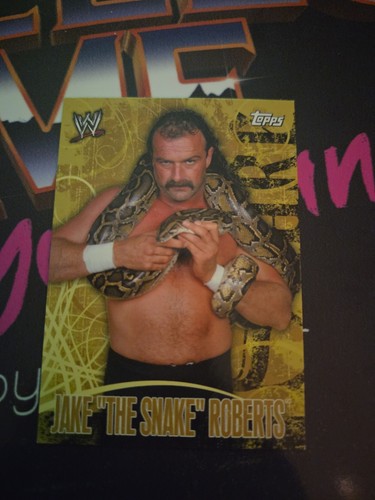 Topps wwe wwf jake the - wwf,