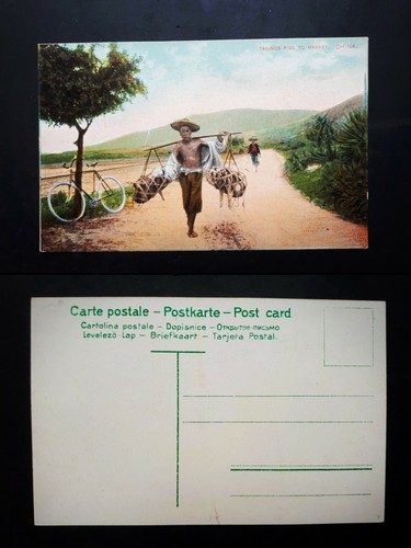 Postcard cartolina cina - -,