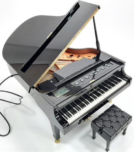 Pianoforte coda miniatura - pianoforte,
