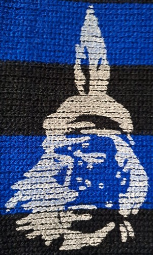 Sciarpa forever ultras inter - sciarpa,