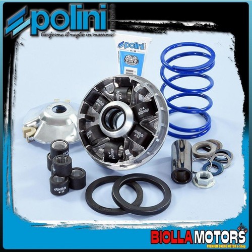 241 751 variatore - 241.751, polini