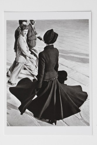 Richard avedon the - new, look