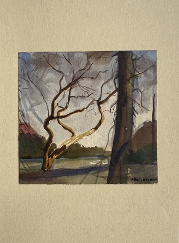 Paesaggio con alberi - , bosco