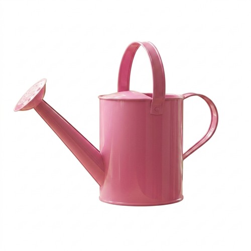 Annaffiatoio con soffione - annaffiatoio,