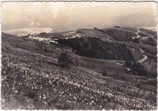 VALDOBBIADENE - PIANEZZE - TREVISO -39007-