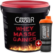 3000g Whey Masse Gainer Poudre