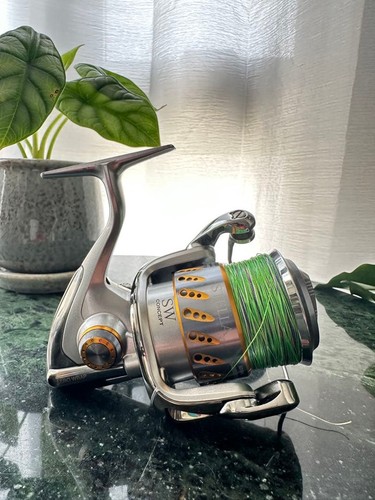 Mulinello spinning shimano - mulinello,