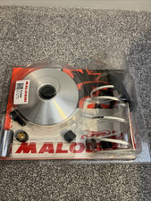 Variatore Malossi Multivar