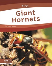 Bugs: Giant Hornets by Trudy